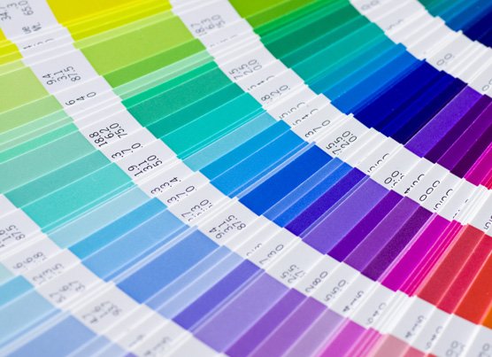 Color Choices
